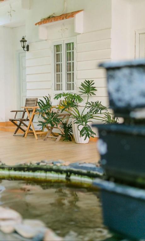 Vườn quanh Lac House Mui Ne