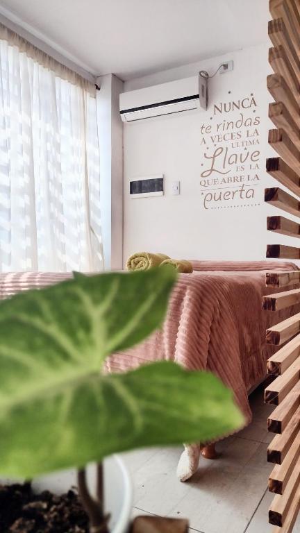 a room with a bed and a plant at Casa Tulia 2 estadio único in La Plata