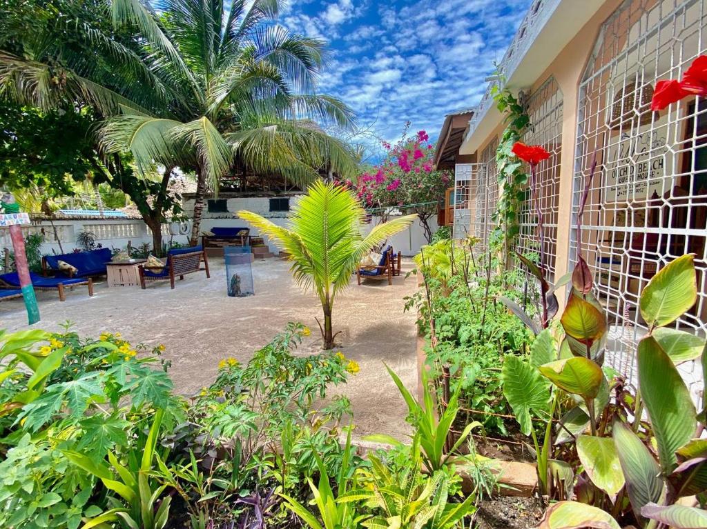 a garden with plants and trees and a building at Samsara Beach House in Kiganga