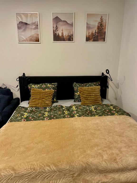 Posteľ alebo postele v izbe v ubytovaní Apartment NAVI- Modern studio in Krkonoše foothills