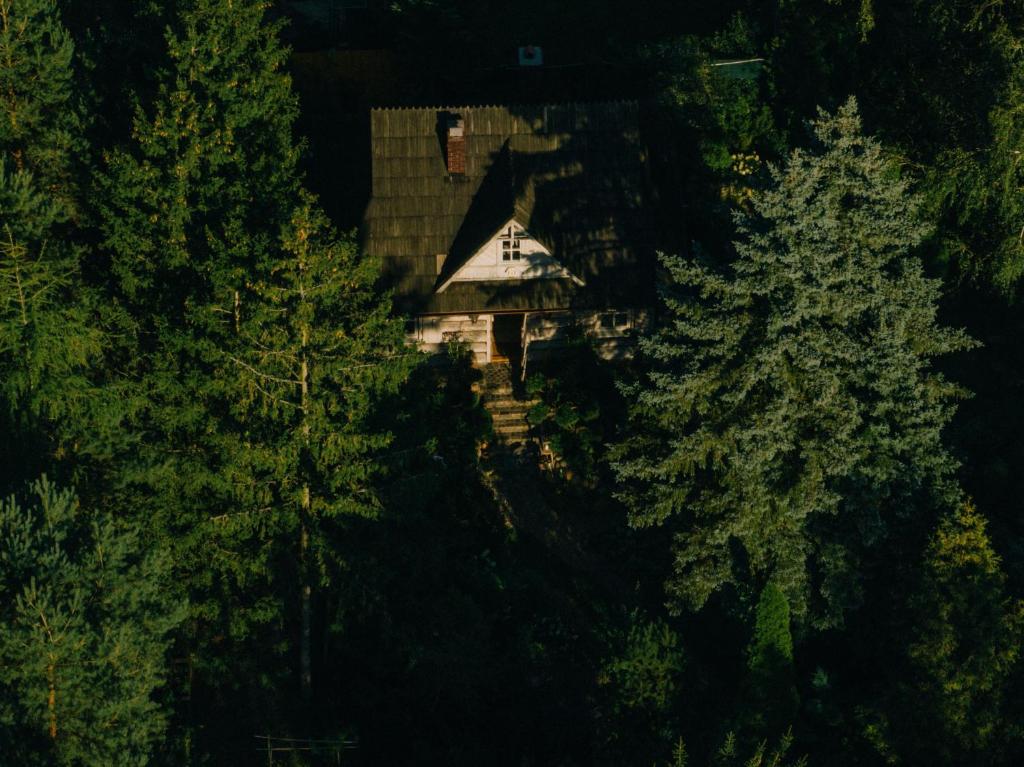a house in the middle of a forest of trees at Przystanek Zielnik in Łosie