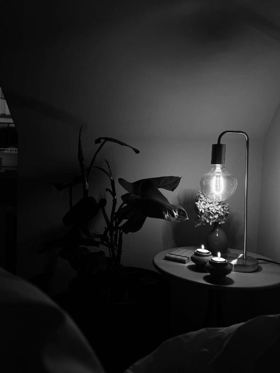 a table with a lamp and a plant on it at Apartament Zielony Stół in Gniezno