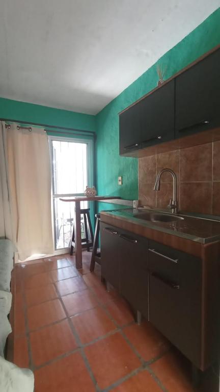 Kuchyň nebo kuchyňský kout v ubytování Hostal Pino Alto