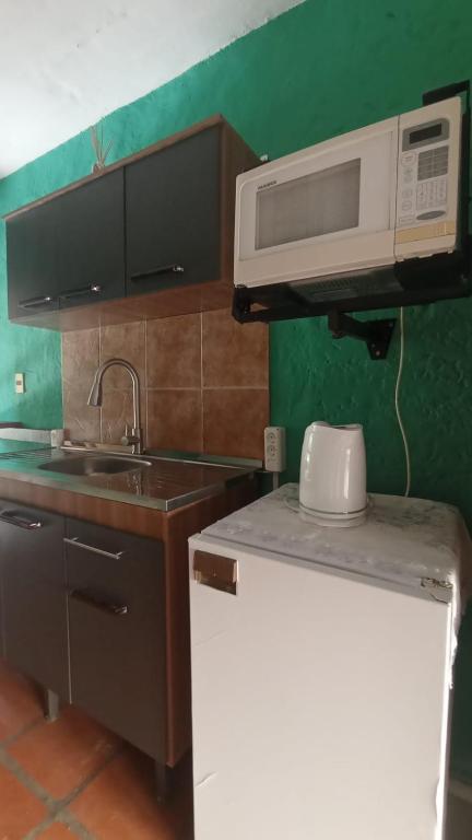 Kuchyň nebo kuchyňský kout v ubytování Hostal Pino Alto