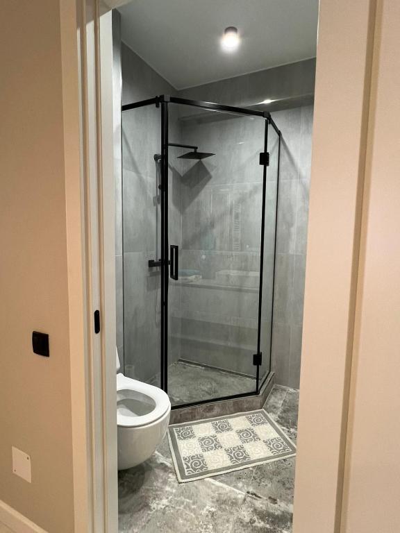 a bathroom with a shower with a toilet at Lux Apartament Center in Chişinău