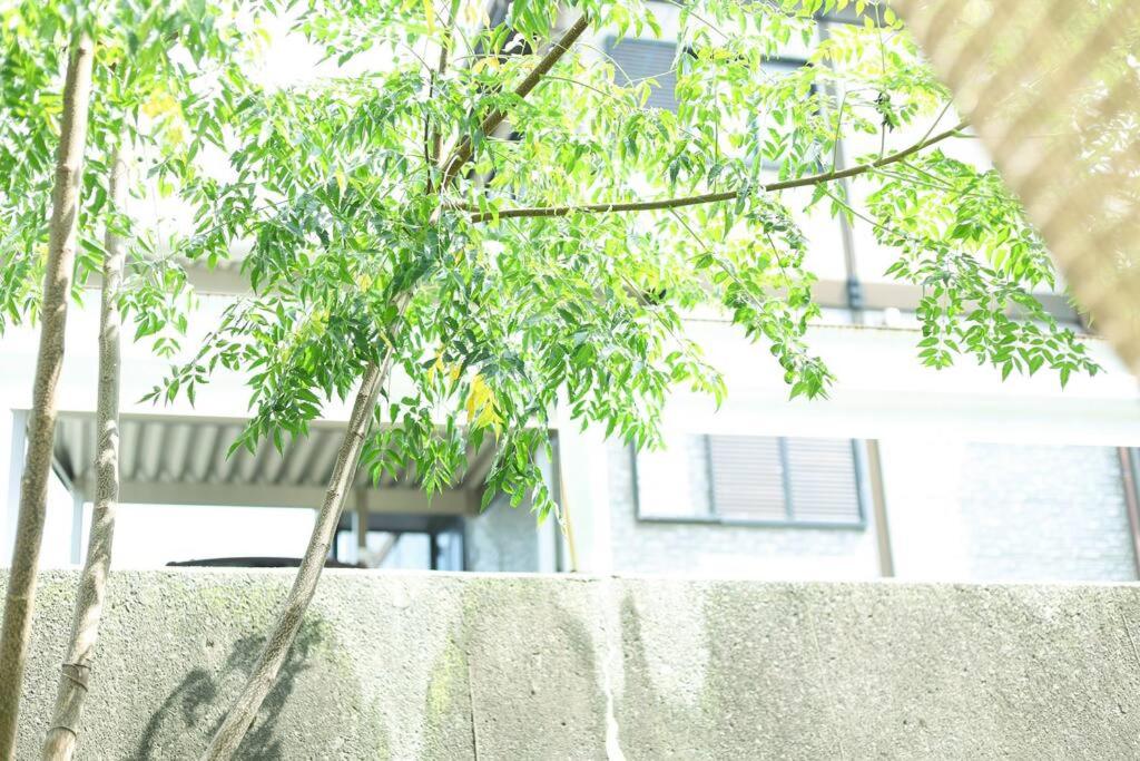 Fotografie z fotogalerie ubytování 犬山1棟貸切り-guest house SAKURA v destinaci Inuyama