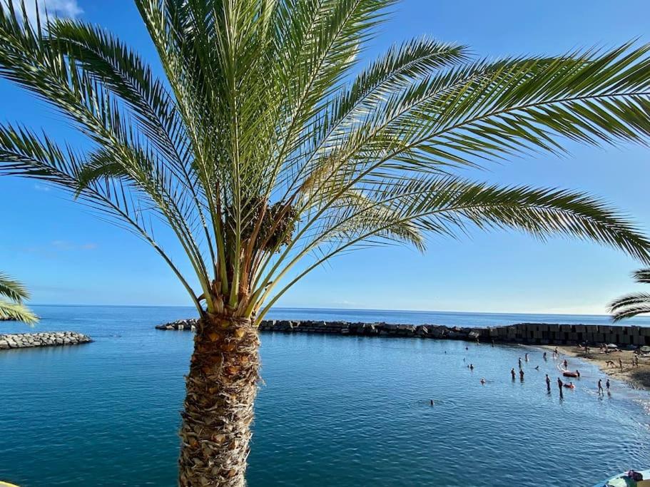 Imagen de la galería de The Vibe Madeira Apartment 2, en Arco da Calheta