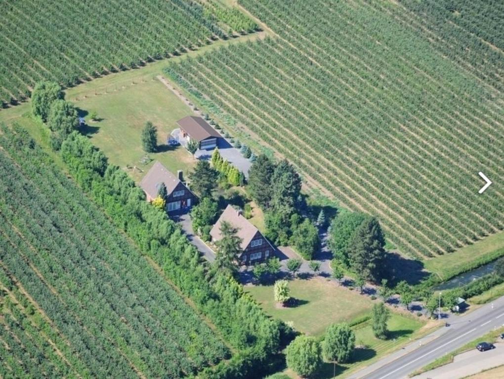an aerial view of a house in a vineyard at Ferienwohnung Jork Altes Land bei Hamburg an der Elbe in Jork