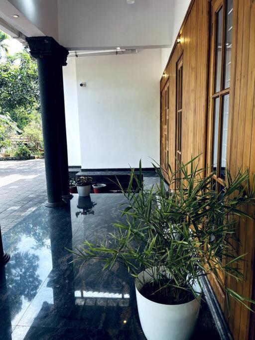 Zahrada ubytování Entire Private Luxury Resort in Wayanad - Cinnamon Villa Wayanad