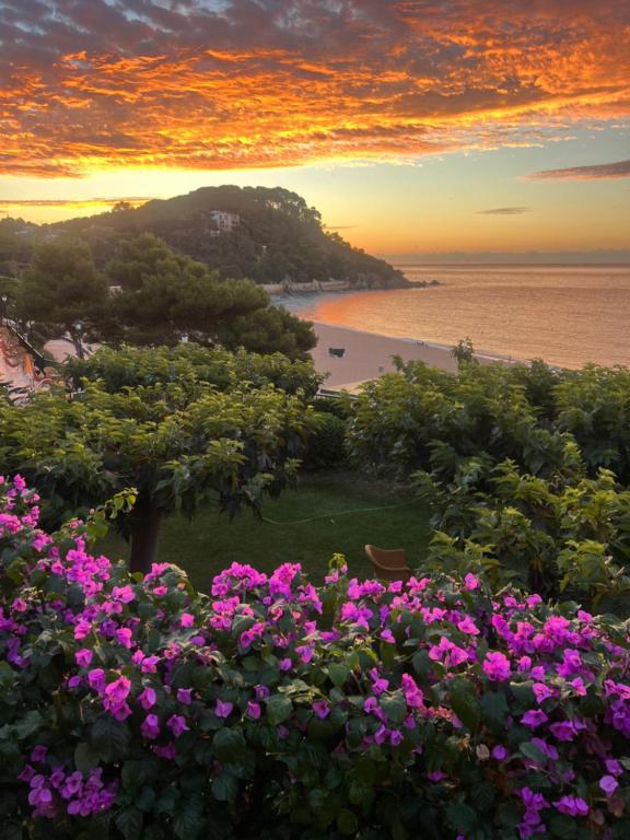 Hoteles en Costa brava, Cataluña 600946569
