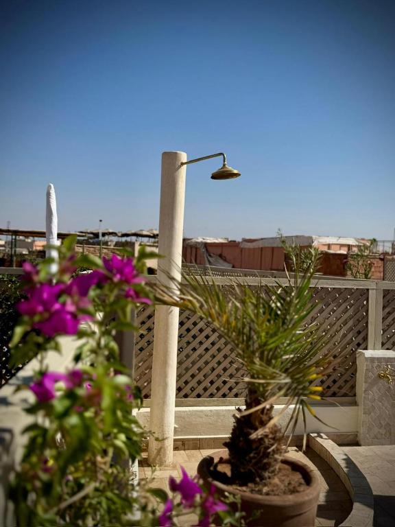 Balkón nebo terasa v ubytování Riad Dollar Des Sables & Spa