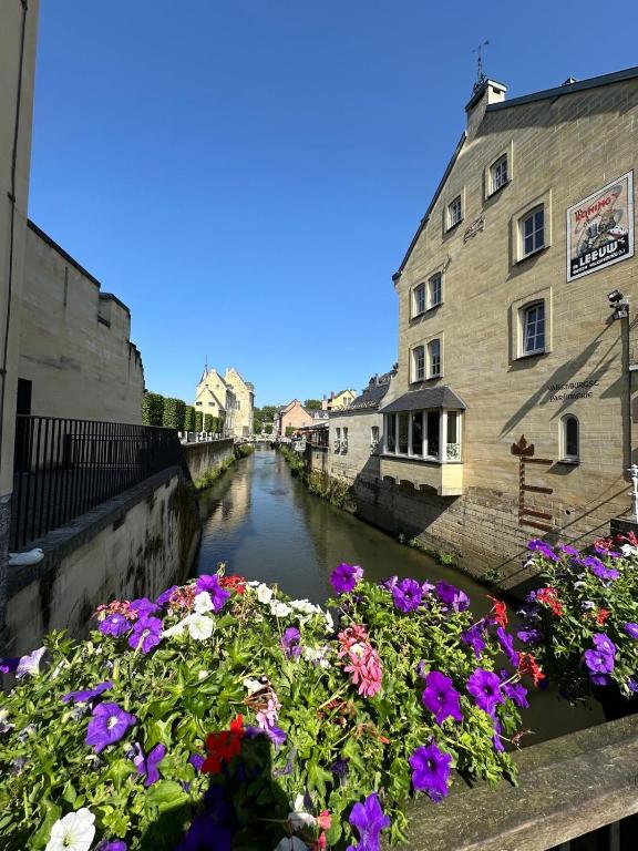 Boutique Hotel de la Ruïne - Resim 20