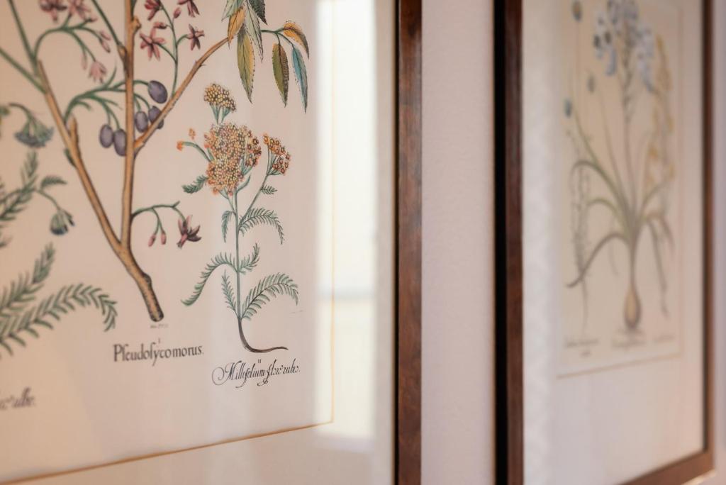 Guest House Morandi - Resim 43