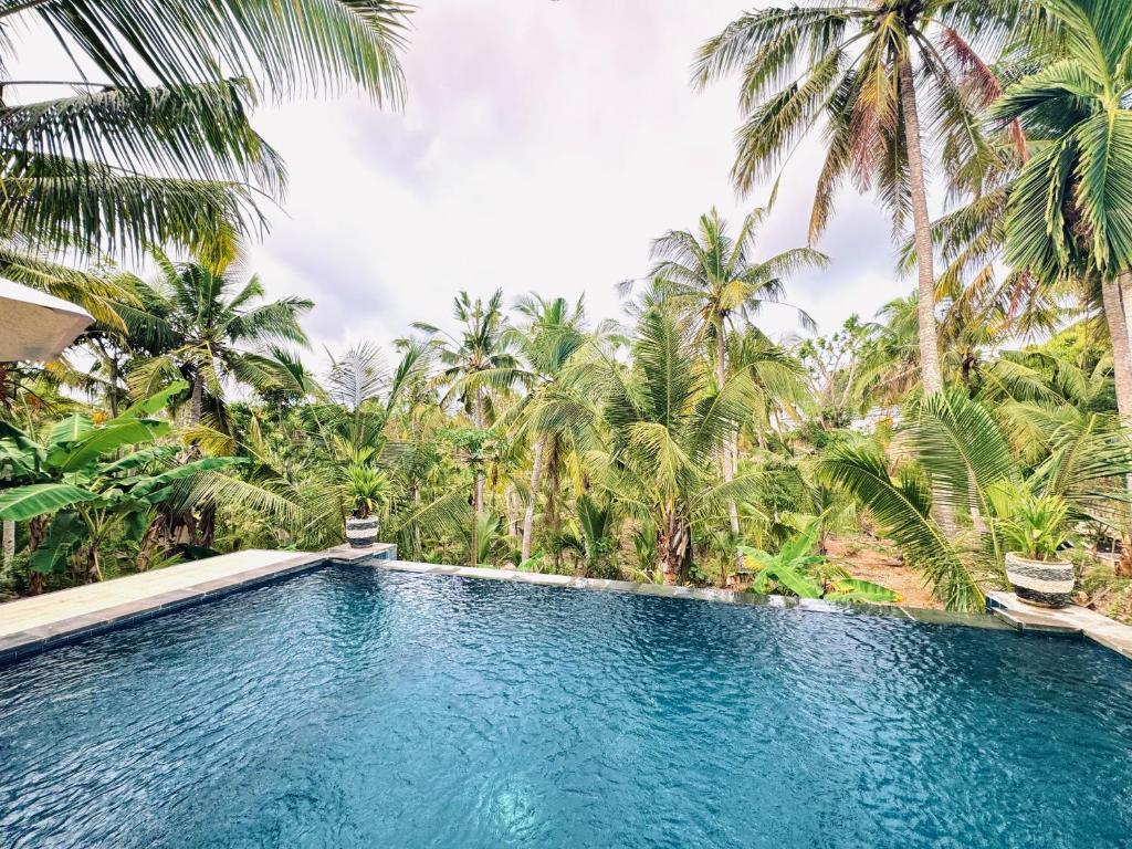 Kelingking Mesari Villa and Spa - 1