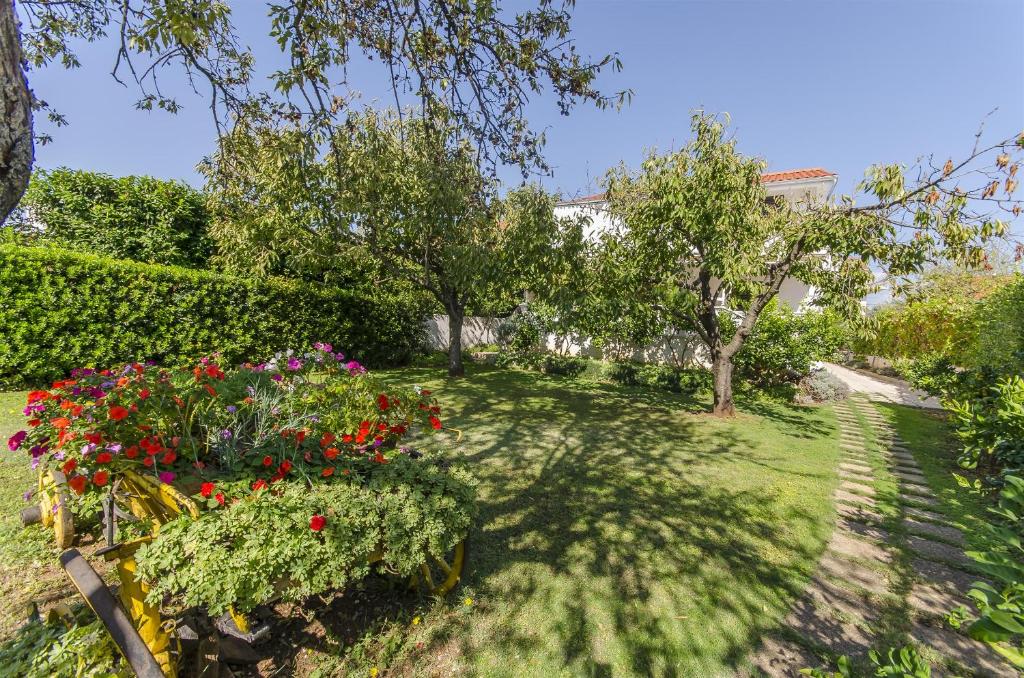 En have udenfor Apartment Tonkica