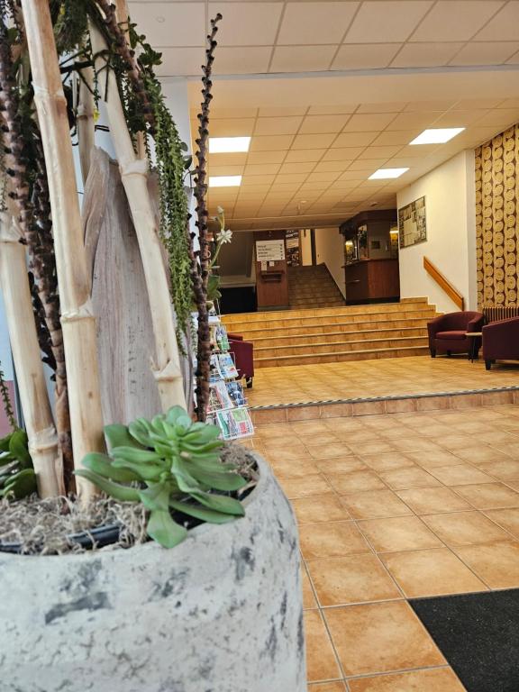 Fotografie z fotogalerie ubytování Hotel Trim v destinaci Pardubice