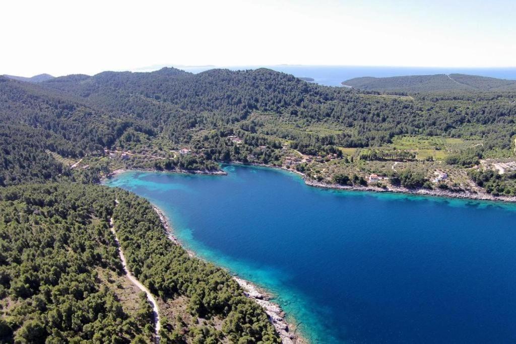 an aerial view of a large body of water at Holiday house Ivko - Korcula in Vela Luka