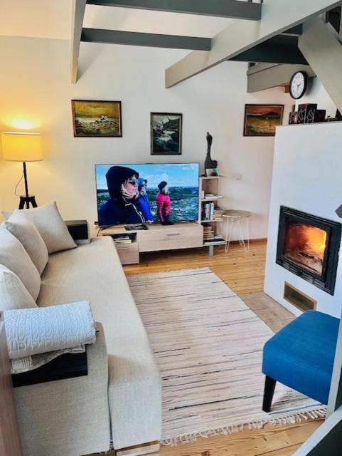a living room with a couch and a flat screen tv at Altja Villa-privaatne saunaga puhkemaja Lahemaa Rahvuspargis in Altja