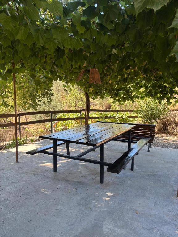 Stolní tenis v ubytování El Domingo en el Valle nebo okolí