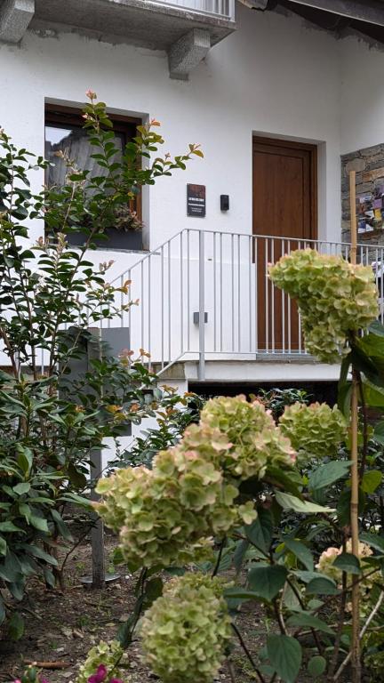 Zahrada ubytování LA VIA DEL SALE accommodations holidays