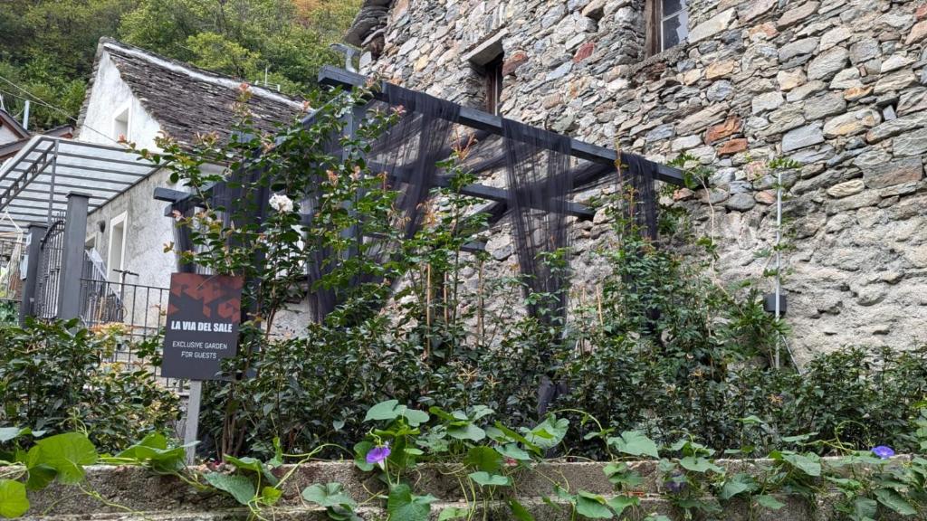 Zahrada ubytování LA VIA DEL SALE accommodations holidays