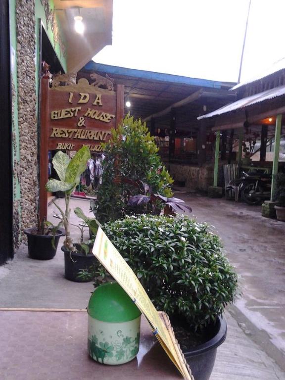 Ida Guest House & JUNGLE TREKKING - Chambre Familiale Avec Terrasse