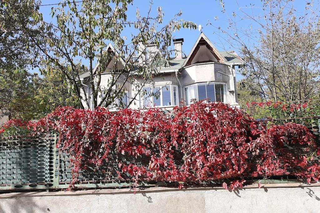 a house with a bunch of red flowers on a fence at Bahceli ev 