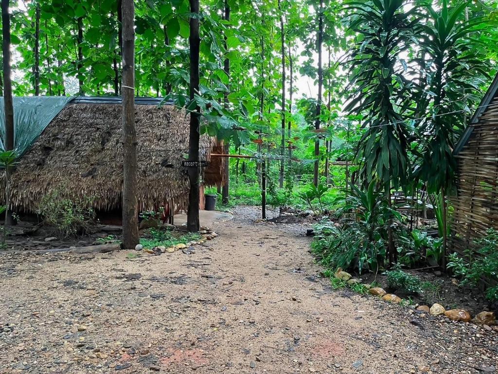 Fotografie z fotogalerie ubytování Doendin Mudbrick hostel v destinaci Ban Phaem Klang