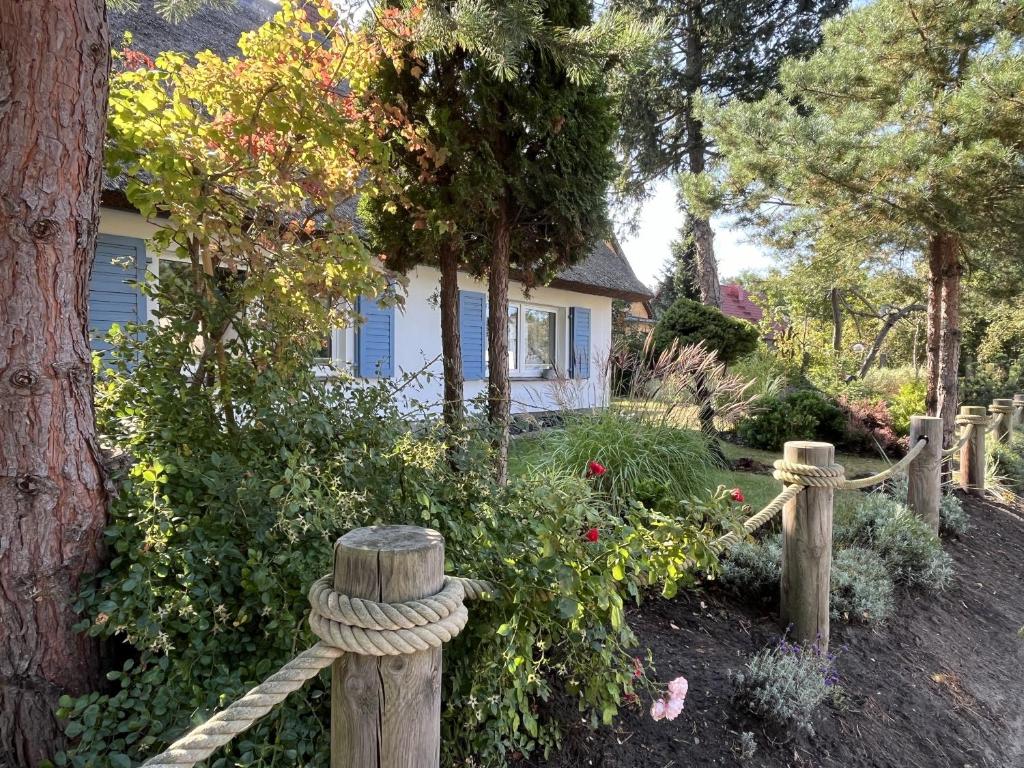 Κήπος έξω από το Boddenkate Fuhlendorf