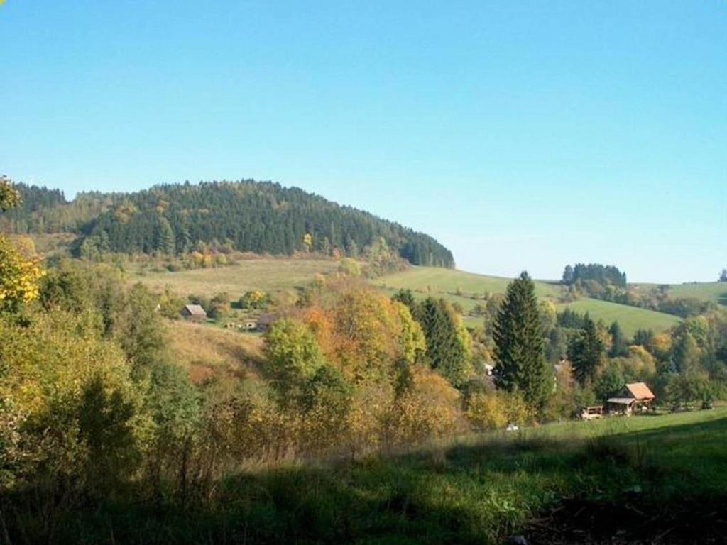 Příroda nedaleko apartmánu