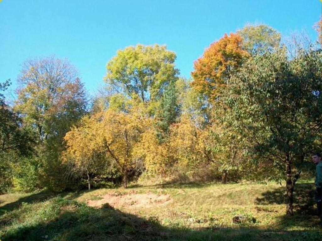 Příroda nedaleko apartmánu