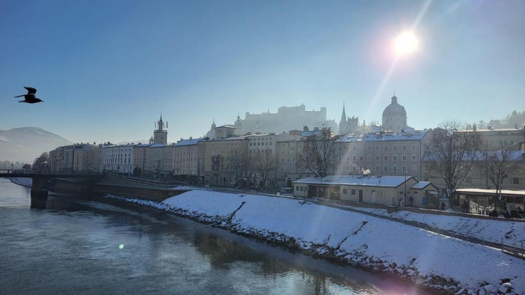 Příroda nedaleko apartmánu