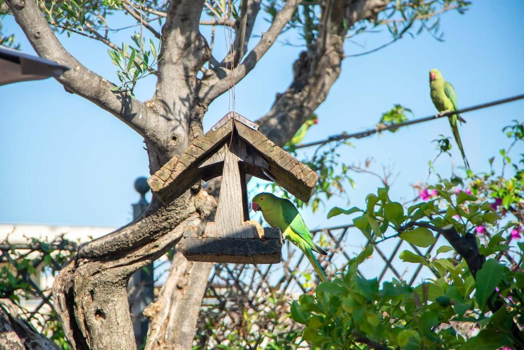 Hotel Isa - Resim 15