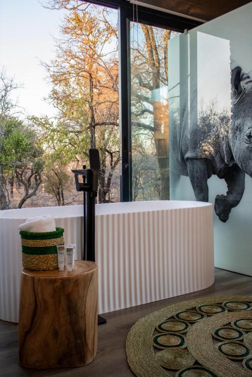 Fotografie z fotogalerie ubytování Umoya Safari Lodge v destinaci Matlhagame