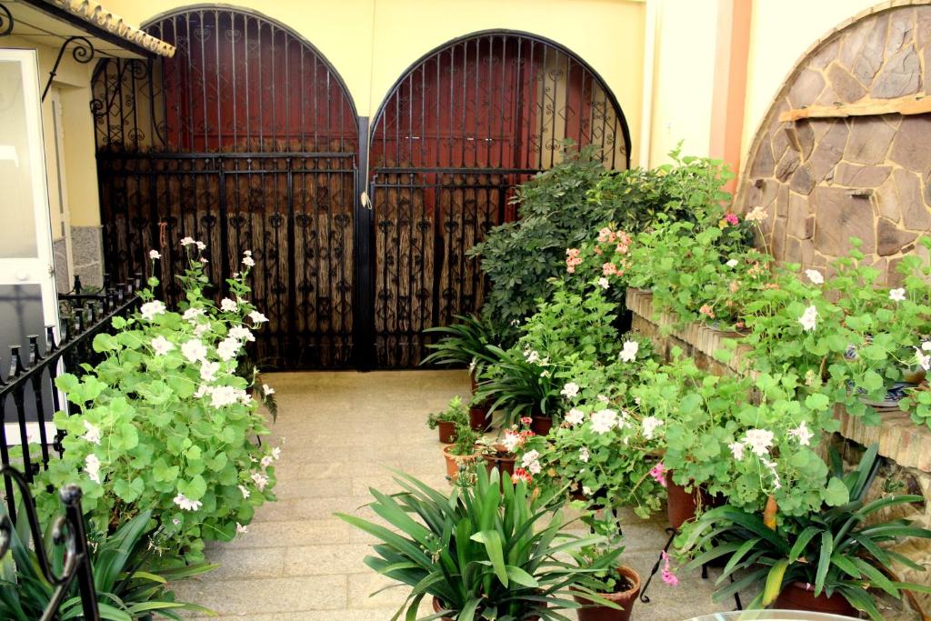 Maximiano Herculeo - Resim 45