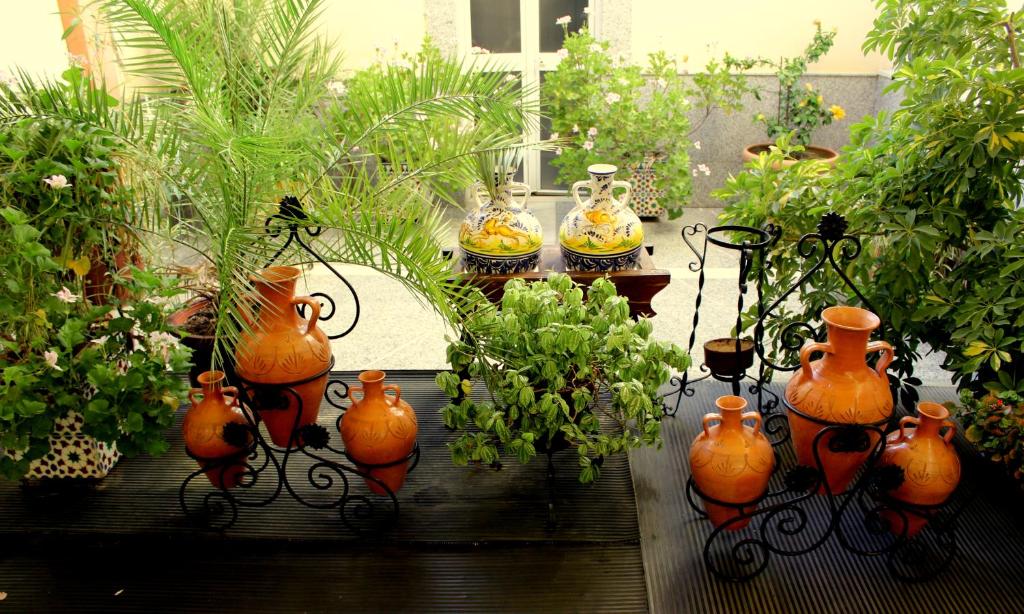 Maximiano Herculeo - Resim 23