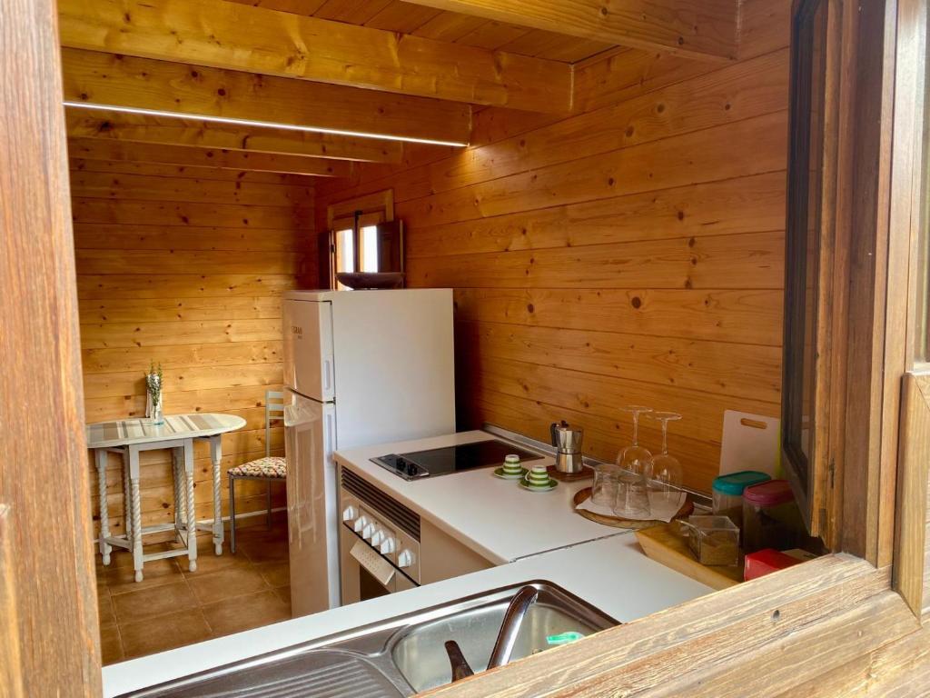 Espacio Antares - 14