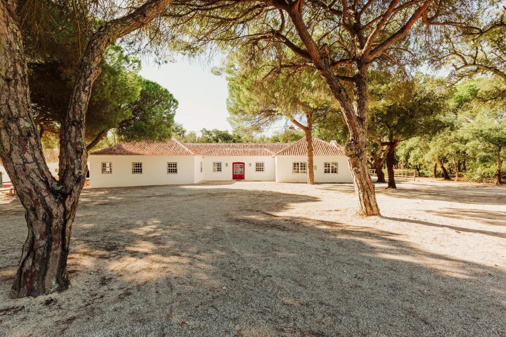 Un gran edificio blanco con árboles delante. en Herdade do Peru Casa dos Netos, en Azeitão