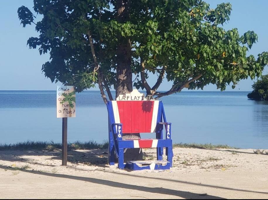 a person sitting in a beach chair under a tree at Ubicación genial a 3 minutos de combate Beach in El Combate