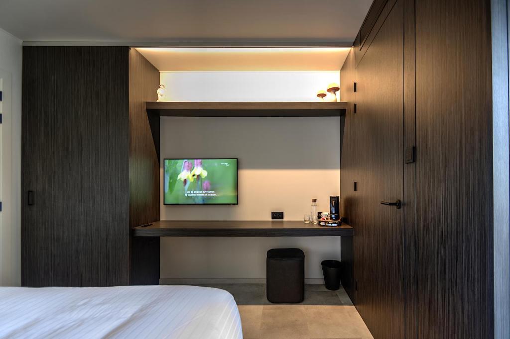 TV a/nebo společenská místnost v ubytování Hotel Hallensis