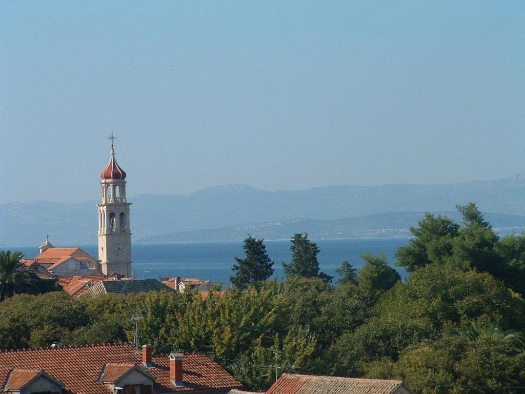 Příroda nedaleko apartmánu