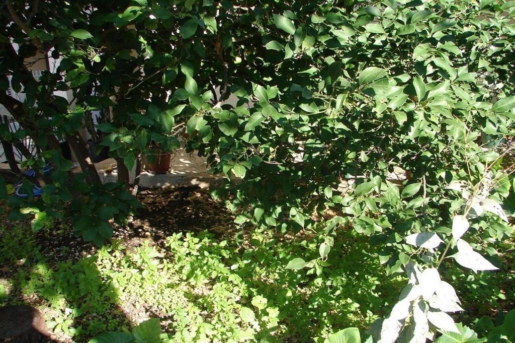 Vonkajšia záhrada v ubytovaní Apartments Sini