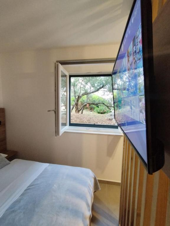 Televízia a/alebo spoločenská miestnosť v ubytovaní Apartment Martina