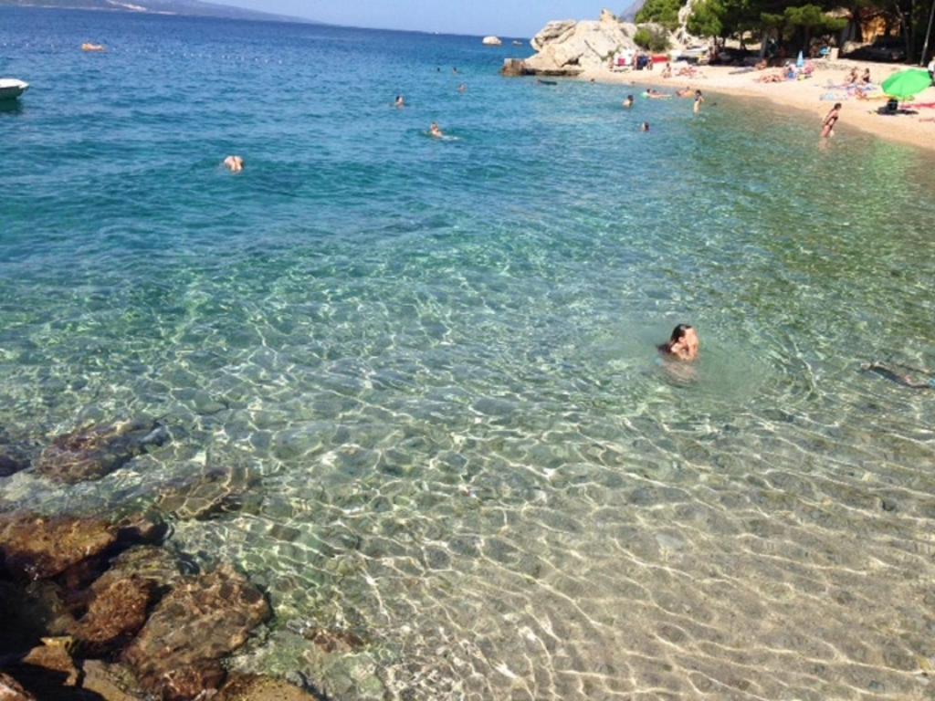 Príroda v okolí apartmánu