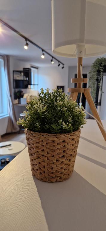 Fotografie z fotogalerie ubytování Charleroi Cozy Home v destinaci Charleroi