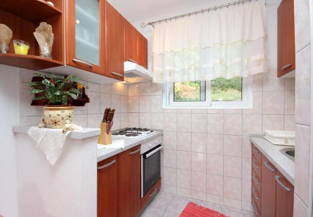 Kuchyň nebo kuchyňský kout v ubytování Apartments Roki