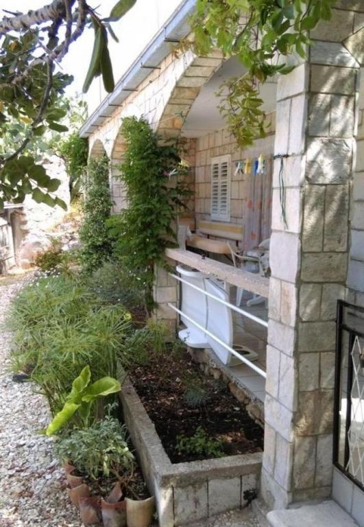 Zahrada ubytování Apartments Roki