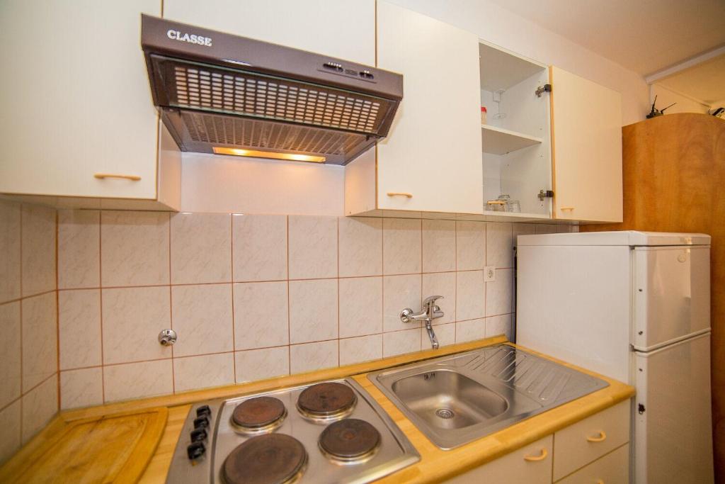 Kuchyňa alebo kuchynka v ubytovaní Apartments Saga
