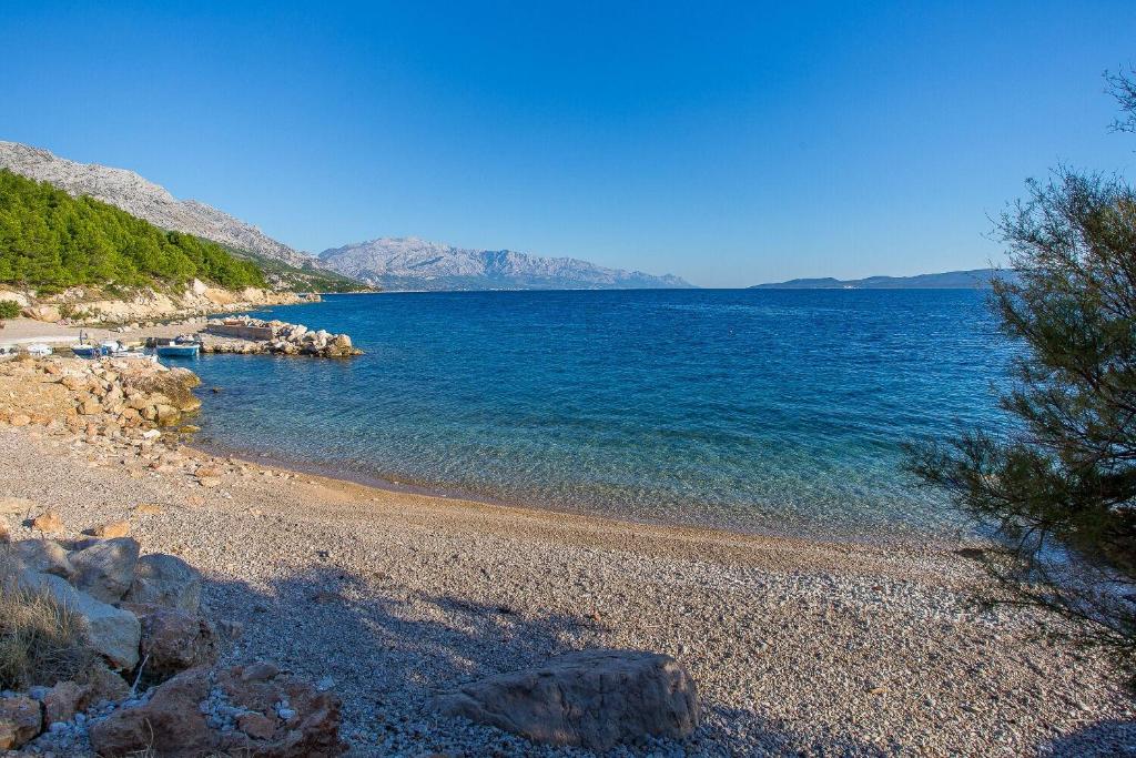 Príroda v okolí apartmánu