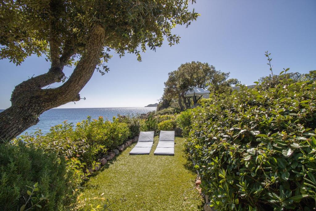 two benches sitting on the grass next to the water at A Cala d Oro et plage privée pour 8 in Porto-Vecchio